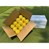 Image of MuhlTech TruFlight AceBallz Pitching Machine Softball 12 pack