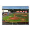 Image of US Specialty Coatings PERMATURF Permanent Turf Paint (1 Gallon)