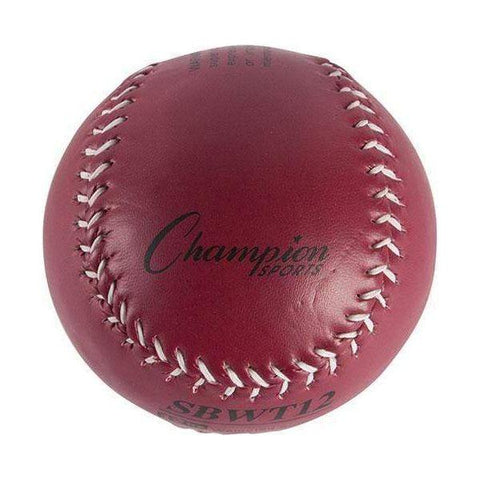 Champion Sports Colored Weighted Softball Set SBWTSET