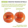 Image of Champion Sports Colored Weighted Softball Set SBWTSET