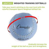 Image of Champion Sports Colored Weighted Softball Set SBWTSET