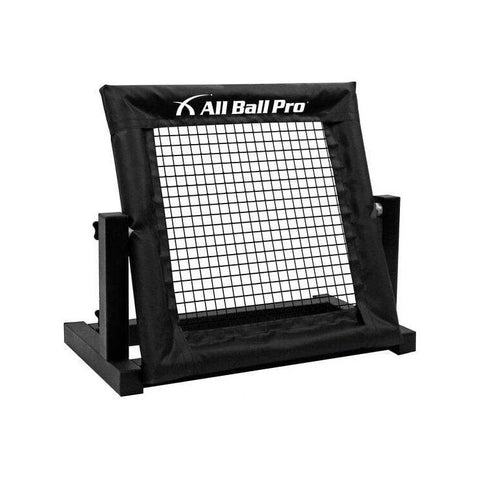 All Ball Pro The Mini Pro Rebounder