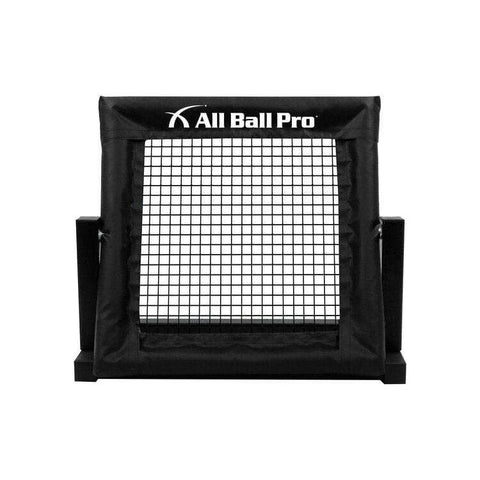 All Ball Pro The Mini Pro Rebounder