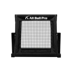 All Ball Pro The Mini Pro Rebounder