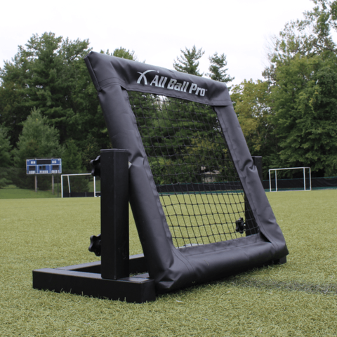 All Ball Pro The Mini Pro Rebounder