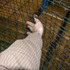 Image of BCI 7' x 7' Standard Protective L-Screen LSCR-STAN-W-NET